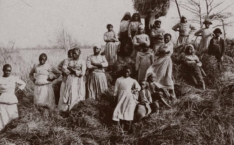 Ça s’est passé un 10 mai : Negro Act of 1740, Caroline du Sud