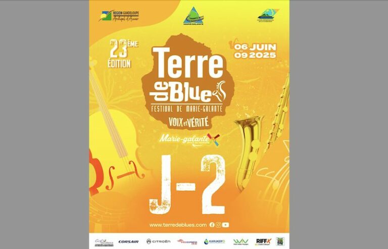 Terre de Blues 2025, les informations pratiques